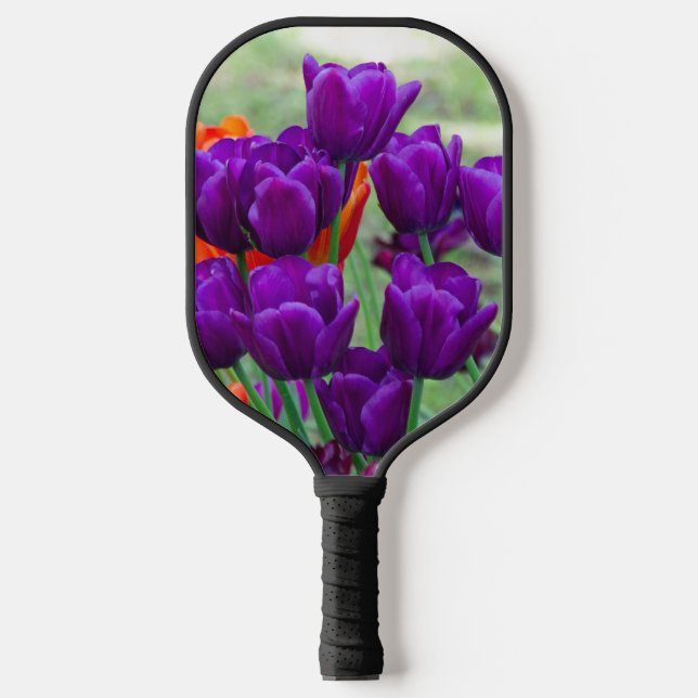 Palas De Pickleball Cañón de tulipanes morado oscuro (Anverso)