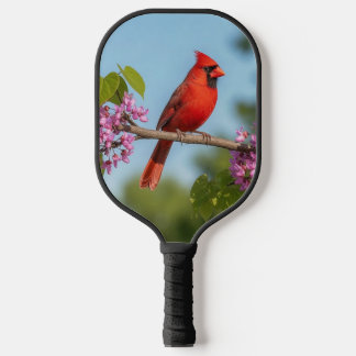 Palas De Pickleball Cardenal en una rama de Redbud