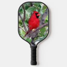 Palas De Pickleball Cardenal masculino en una remo de bolas de limón