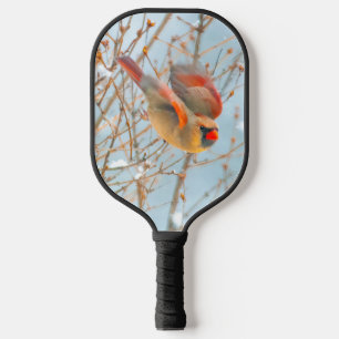 Palas De Pickleball Cardenal norte volando - Fotografía original