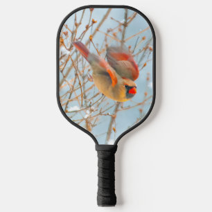 Palas De Pickleball Cardenal norte volando - Fotografía original