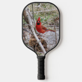 Palas De Pickleball Cardenal Vibrante