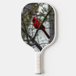 Palas De Pickleball Cardinal