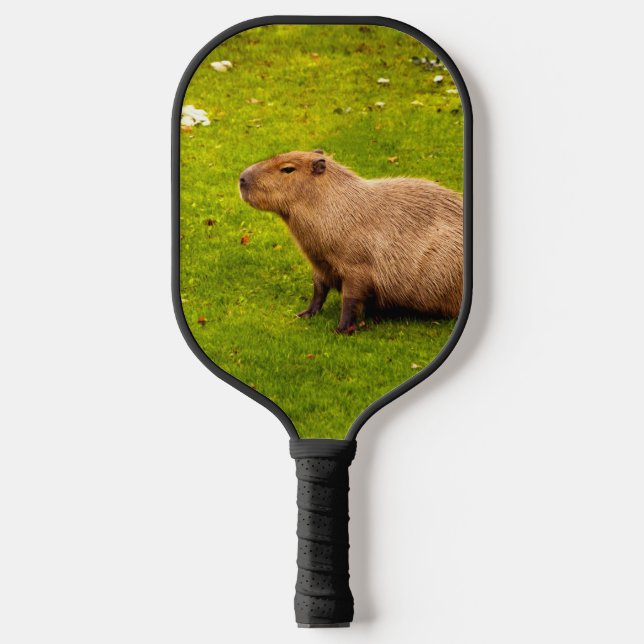 Palas De Pickleball Carpincho (Anverso)