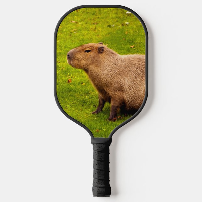 Palas De Pickleball Carpincho (Anverso)