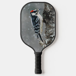 Palas De Pickleball Carpintero lechoso en nieve - Fotografía original