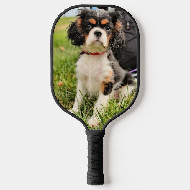 Palas De Pickleball Cavalier King Charles (Anverso)