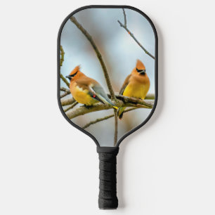 Palas De Pickleball Cedar Waxwing - Fotografía original