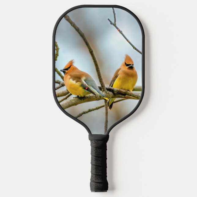 Palas De Pickleball Cedar Waxwing - Fotografía original (Anverso)