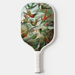 Palas De Pickleball Colibríes de Ernst Haeckel, aves vitícolas