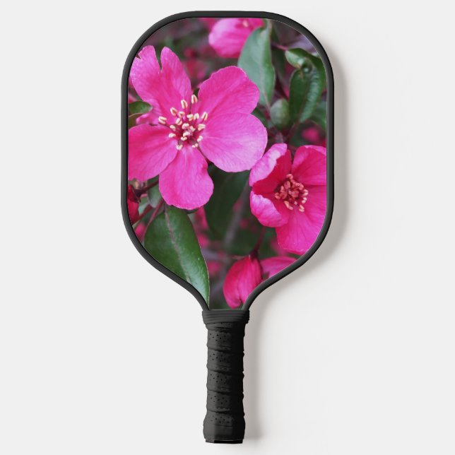 Palas De Pickleball Crabapple de floración rosa (Reverso )