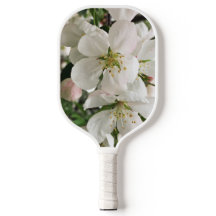 Crabapple floreciente