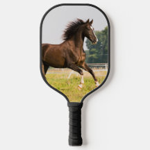 Crea tu propia foto de caballo de mascota personal