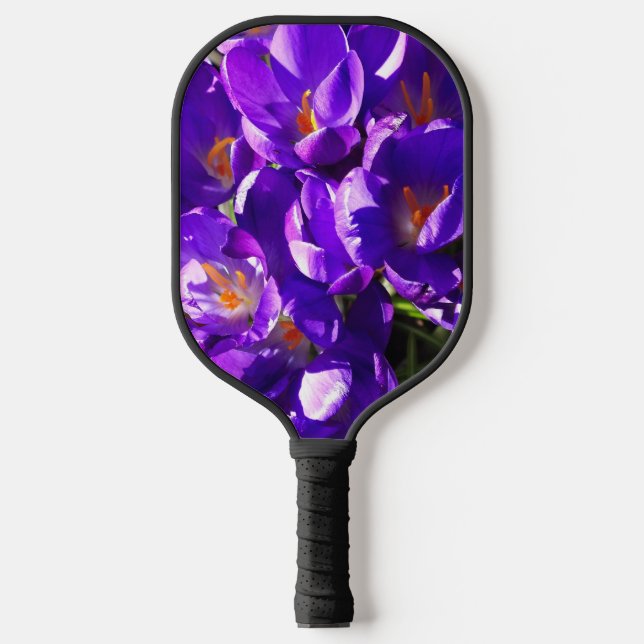 PALAS DE PICKLEBALL CROCUS DE PRIMAVERA (Anverso)