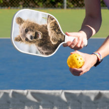 Cubos Grizzly Buscando Su Mamá