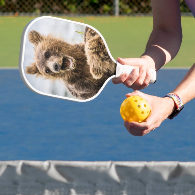 Palas De Pickleball Cubos Grizzly Buscando Su Mamá (in situ)