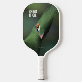 Palas De Pickleball Curioso curioso Guinea Turaco Ave Verde