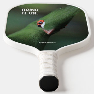 Palas De Pickleball Curioso curioso Guinea Turaco Ave Verde