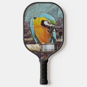 PALAS DE PICKLEBALL CUTE MACAW