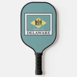 Palas De Pickleball Delaware