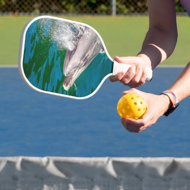 Palas De Pickleball Delfín En Milford Sound, Nueva Zelanda (in situ)