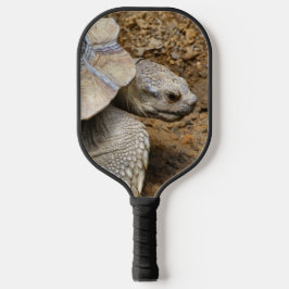 Palas De Pickleball Dos tortugas