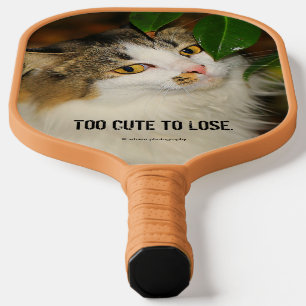 Palas De Pickleball El Gato y la camelia