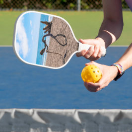 Palas De Pickleball Evolución