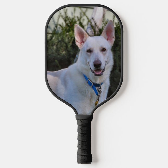 Palas De Pickleball Fantasma (Anverso)