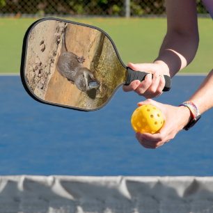 Palas De Pickleball **"Festín Pondside: Un Otter y su atracción"**