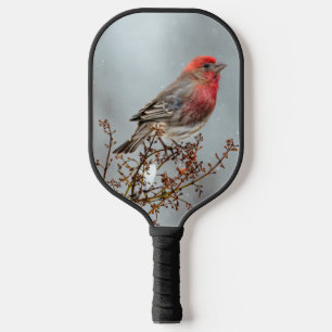 Palas De Pickleball Finca de casa en nieve - Fotografía original