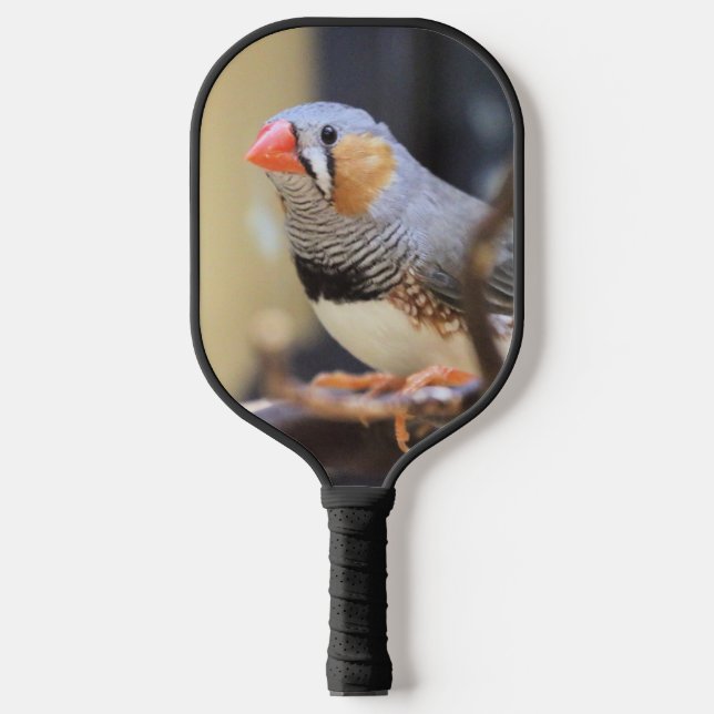 Palas De Pickleball Finch (Anverso)