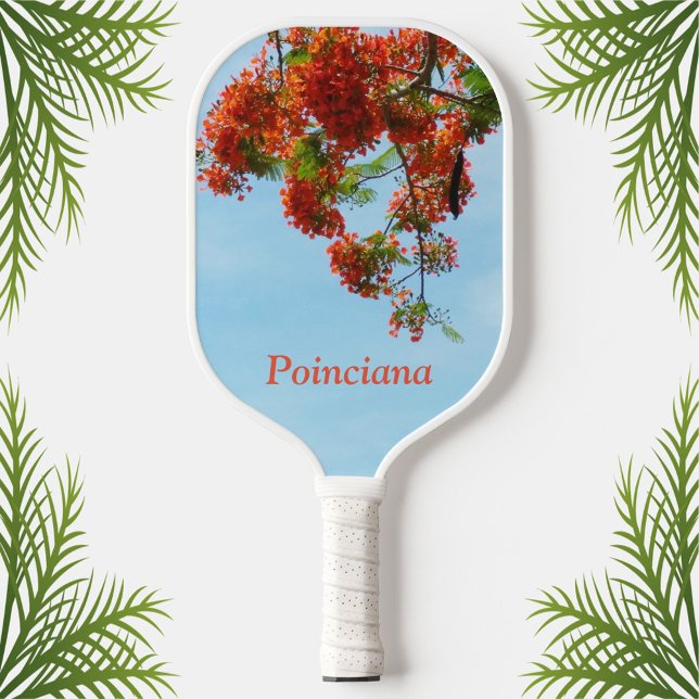 Palas De Pickleball Flamboyante Royal Poinciana Botanana Floral (Subido por el creador)