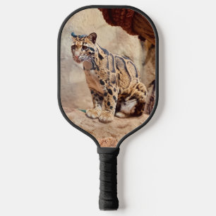 Palas De Pickleball foto de leopardo nebuloso naturaleza vida silvestr
