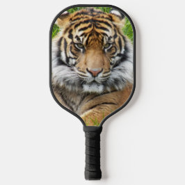 Palas De Pickleball Foto del tigre de Sumatra