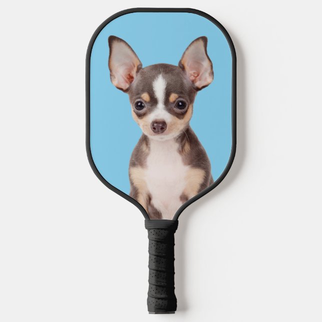 Palas De Pickleball Fotografía de perro de familia Bebé Azul (Anverso)