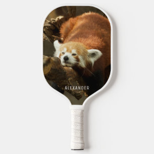 Palas De Pickleball Fotografía personalizada de panda rojo descansando