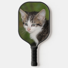 Palas De Pickleball Gatito