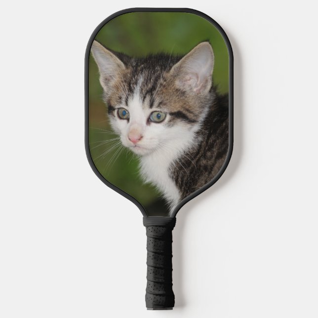 Palas De Pickleball Gatito (Anverso)