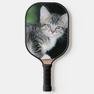 Palas De Pickleball Gatito