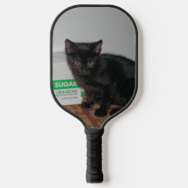 Palas De Pickleball Gatitos
