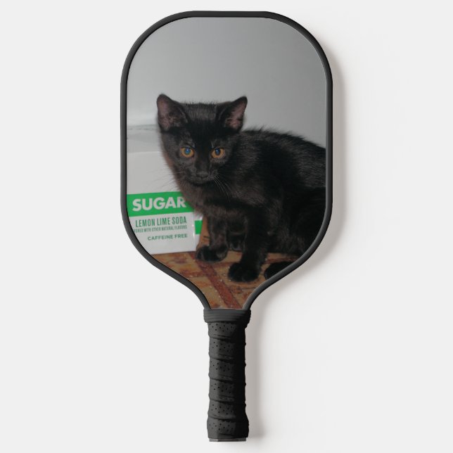 Palas De Pickleball Gatitos (Anverso)