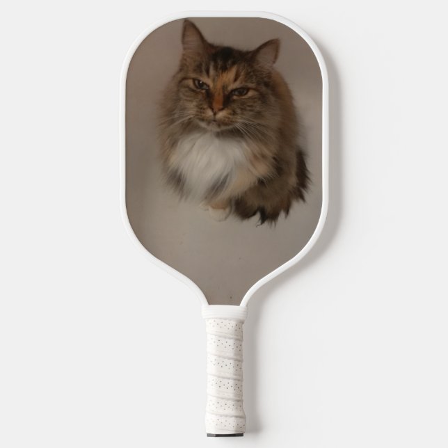 Palas De Pickleball Gato (Anverso)