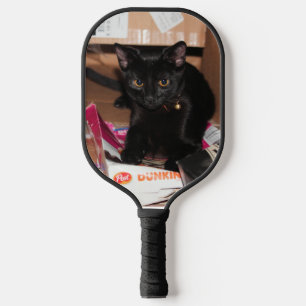 Palas De Pickleball Gato