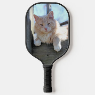 Palas De Pickleball Gato