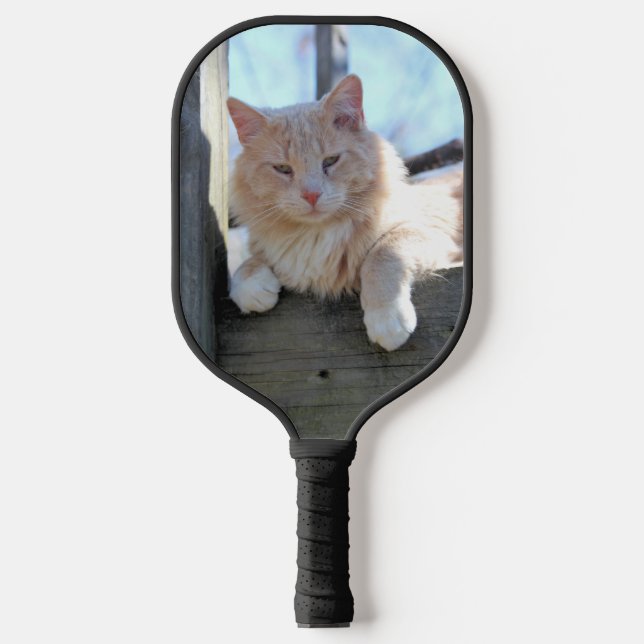 Palas De Pickleball Gato (Anverso)