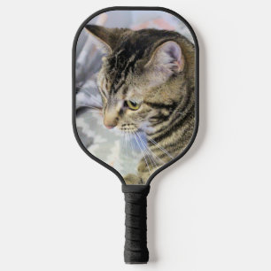 Palas De Pickleball Gato