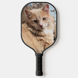 Palas De Pickleball Gato