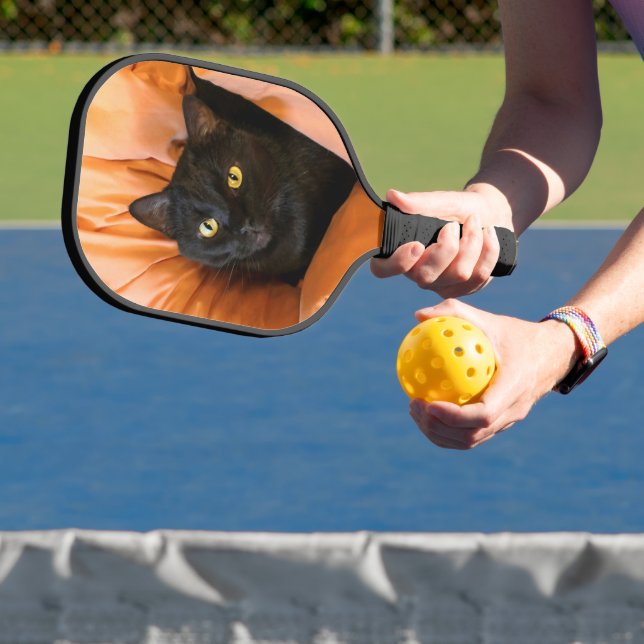 Palas De Pickleball Gato negro lindo (in situ)