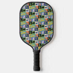 Palas De Pickleball Gatos coloridos de Guay en plazas inestables